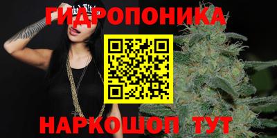 ПСИЛОЦИБИНОВЫЕ ГРИБЫ Мариинск