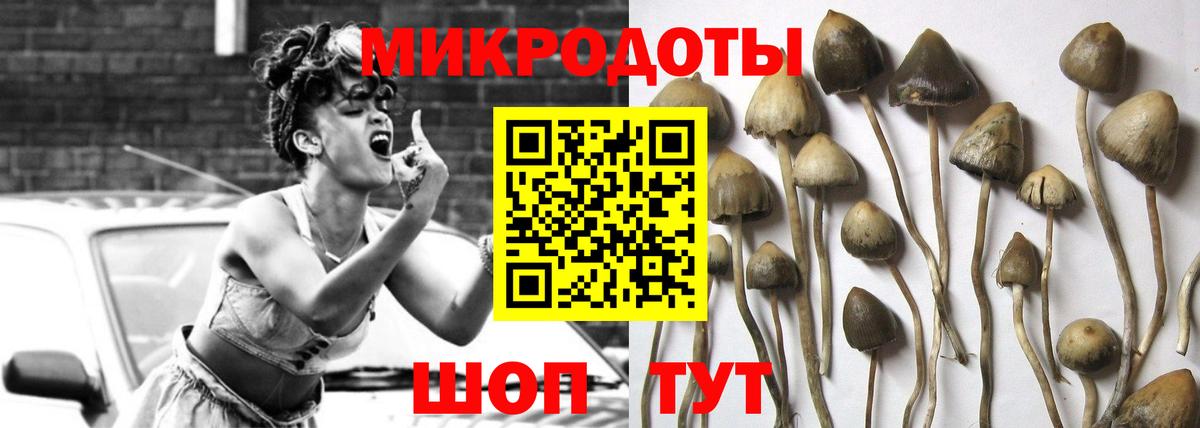 цена наркотик  Вход с VPN  Галлюциногенные грибы Cubensis  Великие Луки  Псилоцибиновые грибы Magic Shrooms 